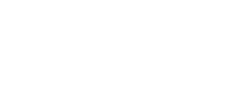 MSN logo